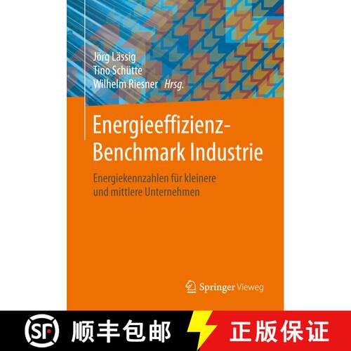 【3-4周达】Energieeffizienz-Benchmark Industrie : Energiekennzahlen für kleinere und mittlere Untern... [9783658139933]