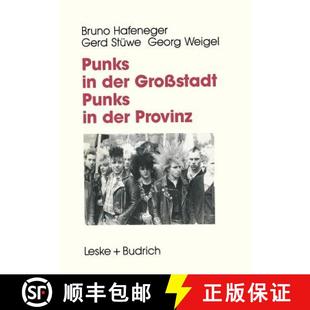 aus 9783663015062 Punks Großstadt Provinz der 4周达 Jugendarbeit Projektberichte