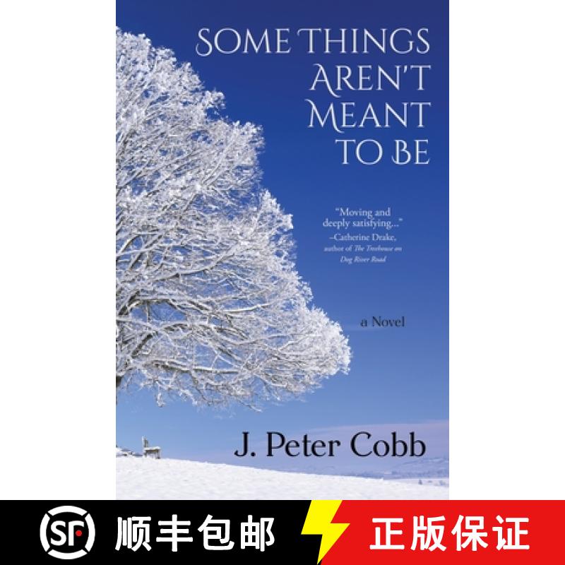 【3-4周达】Some Things Aren't Meant to Be: A Novel [9781578691753]
