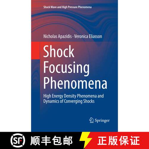 【3-4周达】Shock Focusing Phenomena : High Energy Density Phenomena and Dynamics of Converging Shocks [9783030093457]