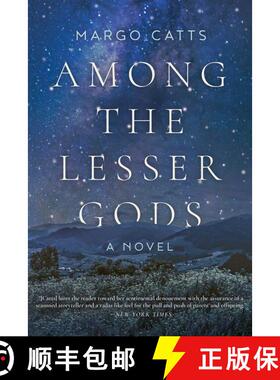【3-4周达】Among the Lesser Gods: A Novel [9781948924184]