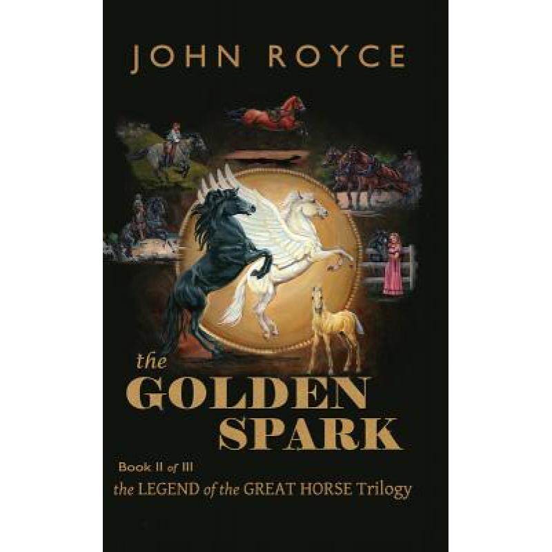 预订 the golden spark [9780972412148]