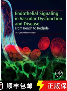 【3-4周达】Endothelial Signalling in Vascular Dysfunction and Disease: From Bench to Bedside [9780128161968]