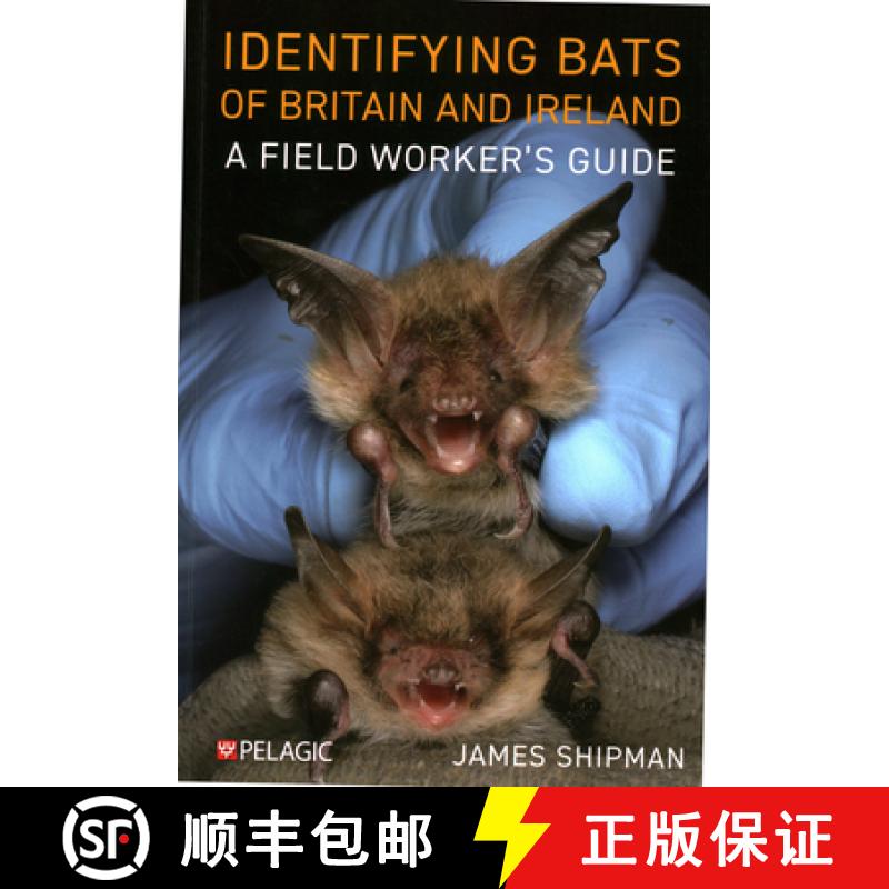 【3-4周达】Identifying Bats of Britain and Ireland : A Field Worker's Guide [9781784274924]