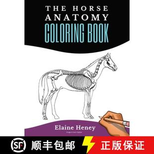 Your Anatomy For Book 预订 Self Test Kno... Workbook Coloring Equine Assessment 9780955265358 Adults Horse