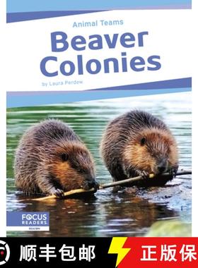 【3-4周达】Animal Teams: Beaver Colonies [9798889982456]