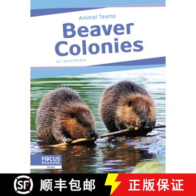 【3-4周达】Animal Teams: Beaver Colonies [9798889982456]
