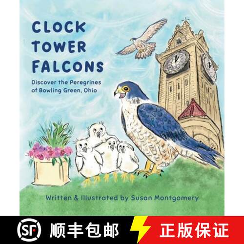【3-4周达】精装 Clock Tower Falcons [9798999849717]