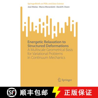 【3-4周达】Energetic Relaxation to Structured Deformations : A Multiscale Geometrical Basis for Varia... [9789811987991]