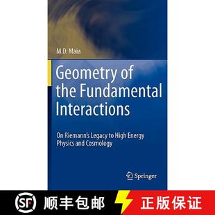 the Co... Interactions and Fundamental Riemann 4周达 Geometry 9781441982728 Legacy Energy High Physics