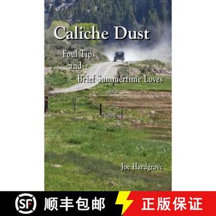 Brief Dust 9780986229008 Loves Summertime and Tips Foul Caliche 预订