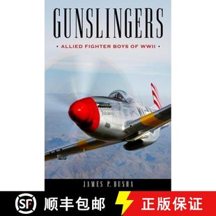 Gunslingers Allied WWII 9781493063697 4周达 Boys Fighter