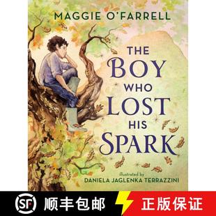 The Boy Spark 9781536240429 His 4周达 Lost Who