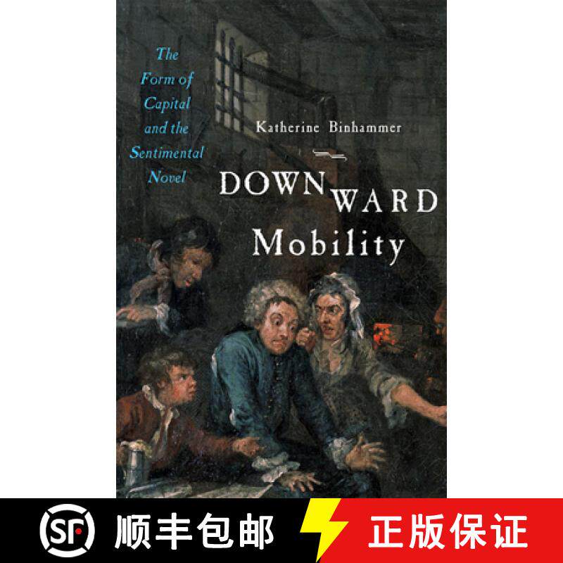 【3-4周达】Downward Mobility: The Form of Capital and the Sentimental Novel [9781421437606]