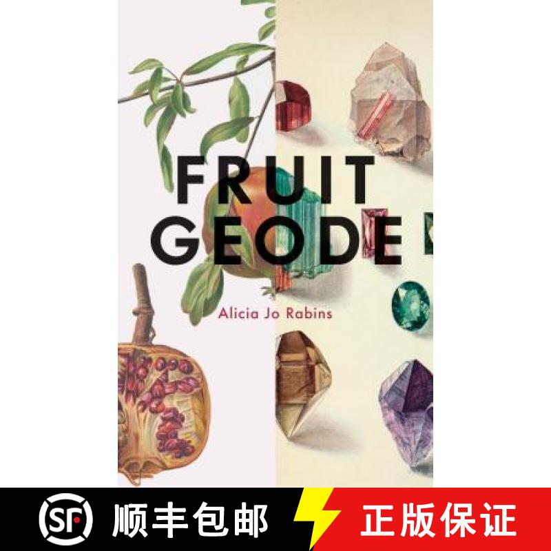 【2-3周达】Fruit Geode [9780999501207]