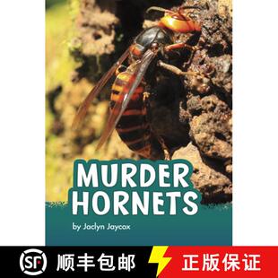 9781666342772 Hornets Murder 预订