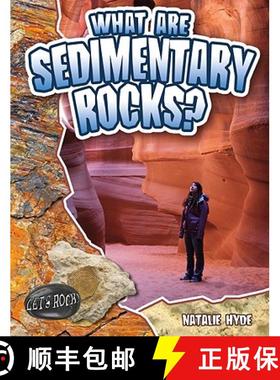 【3-4周达】What Are Sedimentary Rocks? [9780778772354]