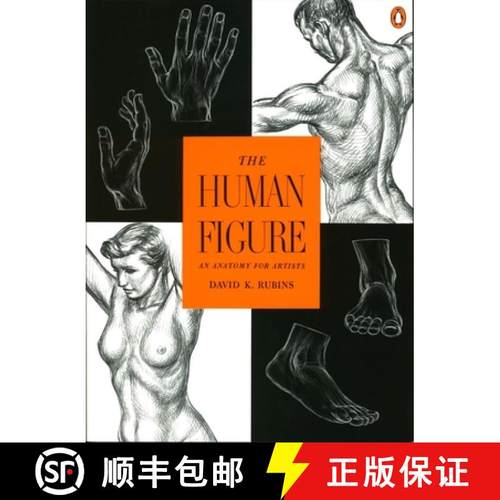 【3-4周达】The Human Figure: An Anatomy for Artists [9780140042436]