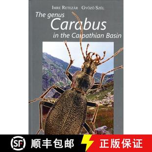 Carabidae Carabus Carpathian Basin the Genus 9786150143835 预订 Coleoptera The