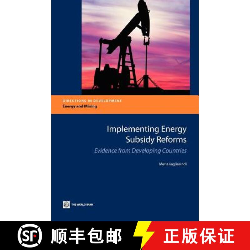 预订 Implementing Energy Subsidy Reforms: Evidence from Developing Countries [9780821395615]