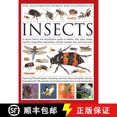 【3-4周达】The Illustrated World Encyclopedia of Insects: A Natural History and Identification Guide ... [9780754819097]