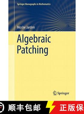 【3-4周达】Algebraic Patching [9783642151279]