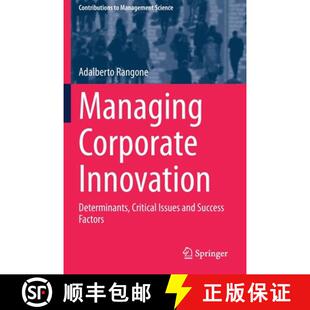 Critical Innovation Issues Factors Managing Success 4周达 9783030317706 Corporate and Determinants