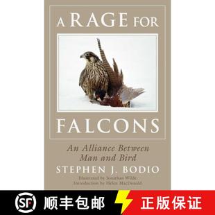 9781634506724 Bird Alliance 4周达 Between for Rage and Falcons Man