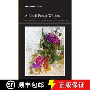 Conversations SUNY Psychoanalysis 预订 with 9781438488486 Insinuations Dav... series Philosophy Henry Literature