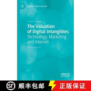 Intangibles Technology Internet The and 4周达 9783030369200 Valuation Marketing Digital