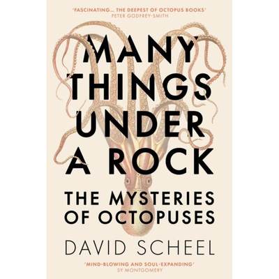 【4周达】Many Things Under a Rock: The Mysteries of Octopuses [9781529392609]