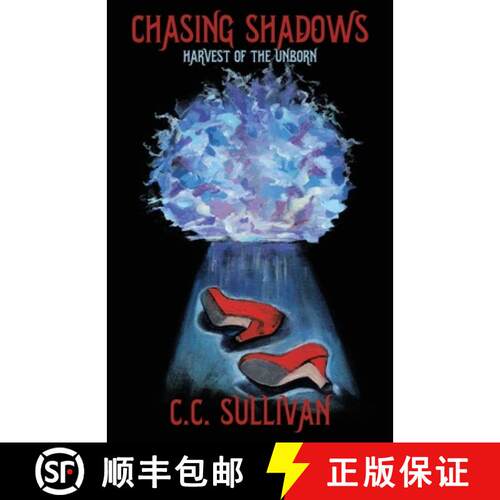 【3-4周达】Chasing Shadows [9780645843255]