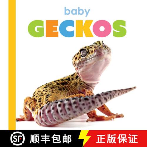 【3-4周达】Baby Geckos [9781682778333]