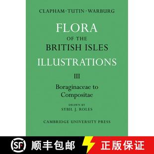 Boraginaceae 9780521269643 Flora British Isles the 4周达 Compositae Illustrations