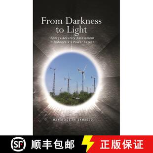 预订 From Darkness to Light – Energy Security Assessment in Indonesia`s Power Sector [9789814695473]