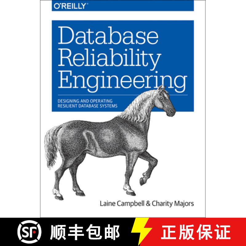 【2-3周达】Database Reliability Engineering: Designing and Operating Resilient Database Systems [9781491925942]