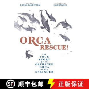 Orca 9781525301179 Springer 4周达 The Rescue Named True Orphaned Story