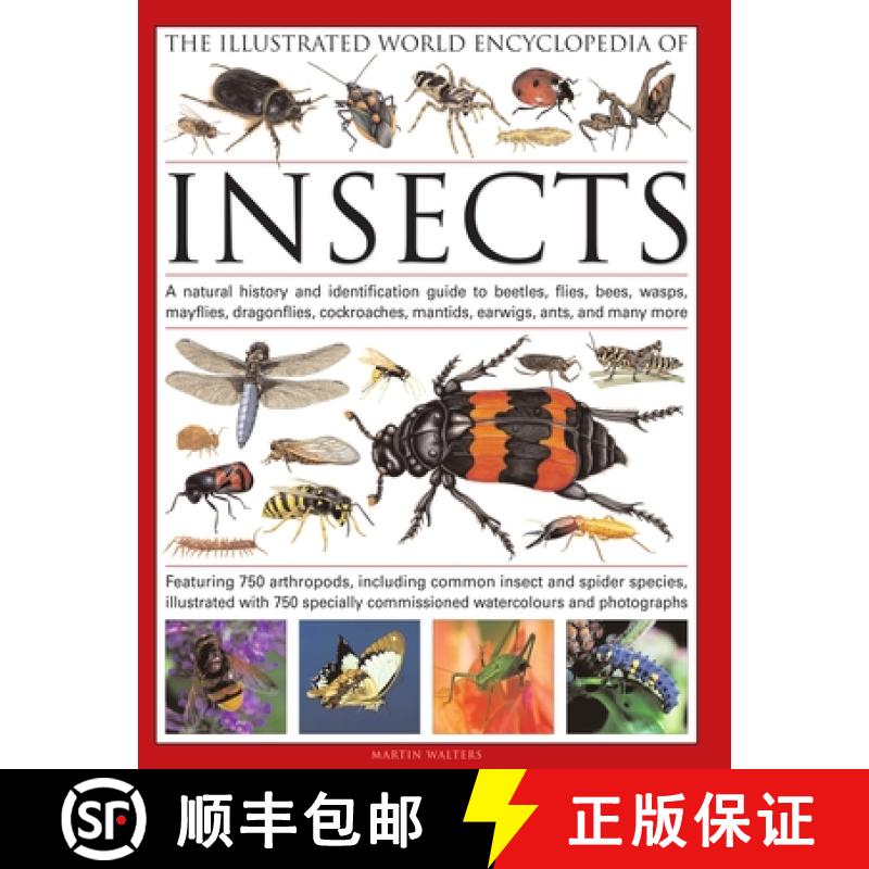 【3-4周达】Illustrated World Encyclopaedia of Insects: A Natural History and Identification Guide to ... [9780754819097]
