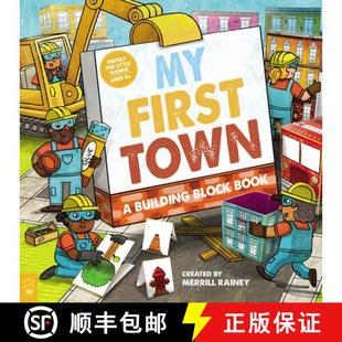 Building Block 9781250906861 Town Book First