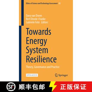 【3-4周达】Towards Energy System Resilience: Theory, Governance and Practice [9783032031860]