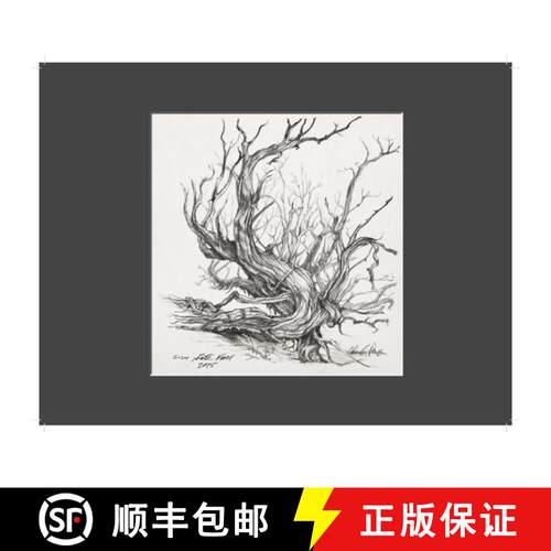 【3-4周达】精装 Charles Parson Drawing [9780998592213]