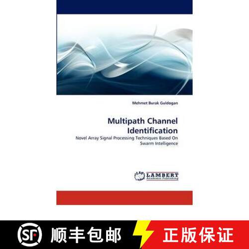 预订 Multipath Channel Identification [9783844397123]