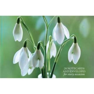 【4周达】Card Box of 20 Notecards and Envelopes: Snowdrop: A Delightful Pack of 20 High-Quality Flowe... [9780754825883]