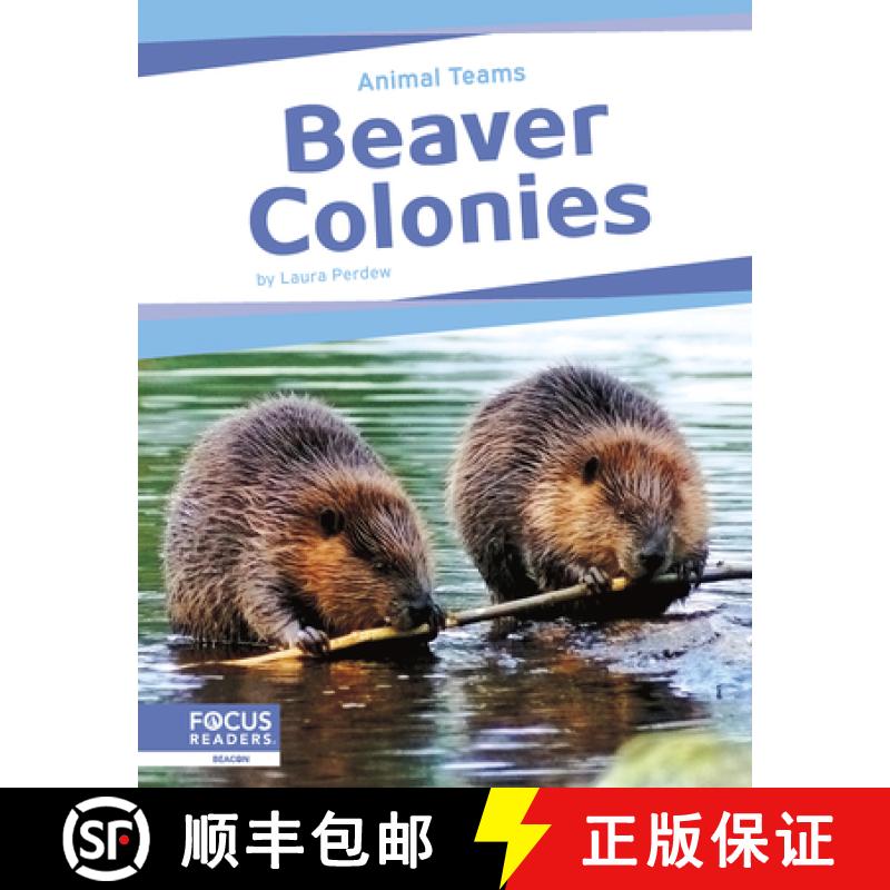 【2-3周达】Animal Teams: Beaver Colonies [9798889982456]