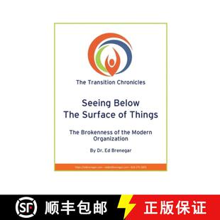 Seeing 9781735065670 Organization Things 4周达 Brokenness The Below Modern Surface the