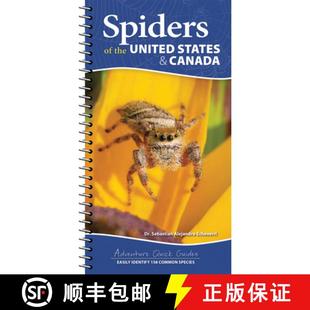 the 158 Species Spiders Easily States 4周达 9781647553463 Common Identify United Canada