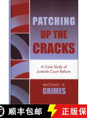 【3-4周达】Patching Up the Cracks : A Case Study of Juvenile Court Reform [9780739108970]