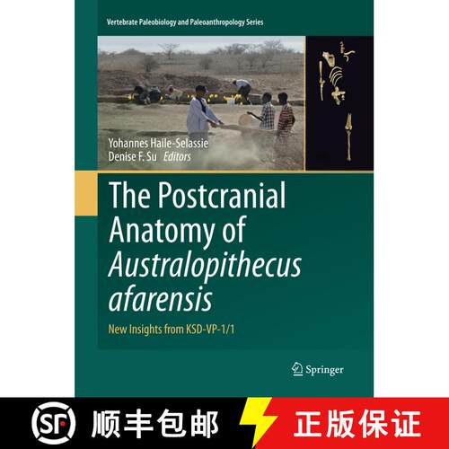 【3-4周达】The Postcranial Anatomy of Australopithecus afarensis : New Insights from KSD-VP-1/1 (Soft... [9789402413472]