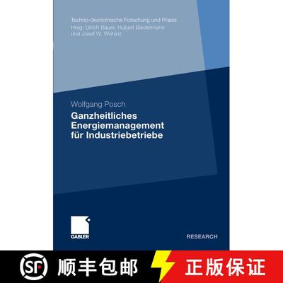 【3-4周达】Ganzheitliches Energiemanagement für Industriebetriebe [9783834925855]