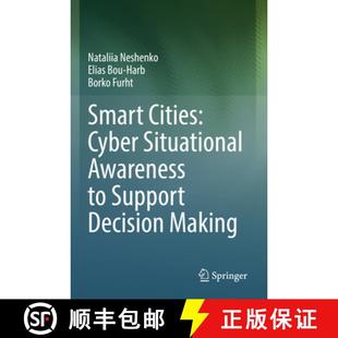Awareness Cyber Making Smart Decision 4周达 9783031184666 Cities Support Situational